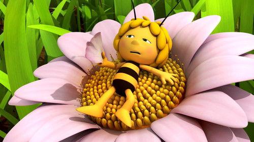 Maya the Bee Season 1 Episode 21 - Bee Clean