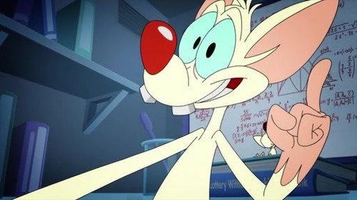 Animaniacs Season 2 Episode 12 - How to Brain Takes Over the World
