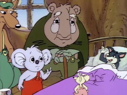 The Adventures of Blinky Bill Season 1 Episode 14 - Blinky and the Strange Koala