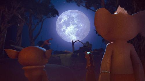 The Wild Adventures of Blinky Bill Season 1 Episode 7 - It's a Date