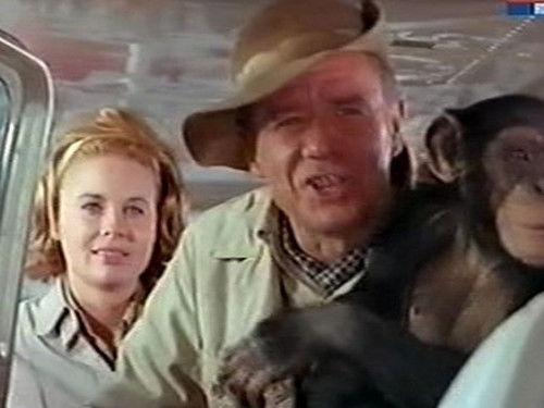 Daktari Season 1 Episode 7 - The Diamond Smugglers