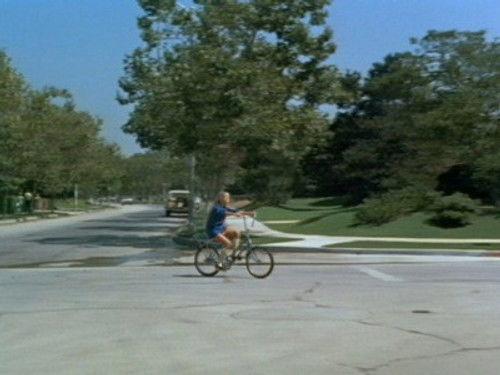 The Brady Bunch Season 3 Episode 13 - The Not-So-Rose-Colored Glasses