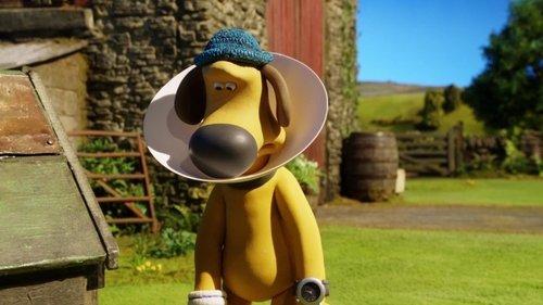 Shaun the Sheep Season 5 Episode 19 - Cone of Shame