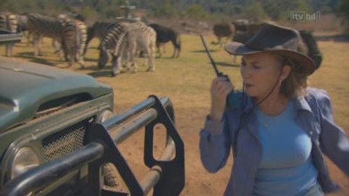 Wild at Heart Season 4 Episode 4 - Episode 4