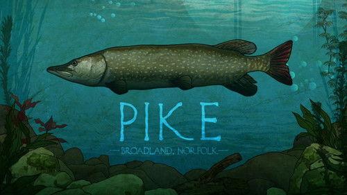 Mortimer & Whitehouse: Gone Fishing Season 3 Episode 3 - Pike: Broadland, Norfolk