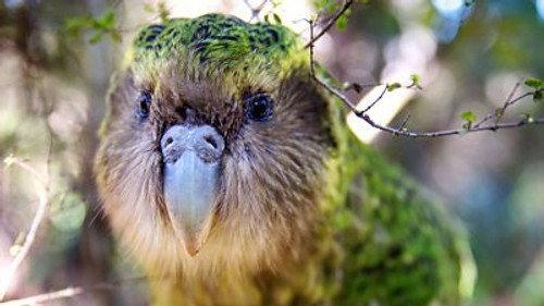 undefined Season 1 Episode 3 - New Arrivals