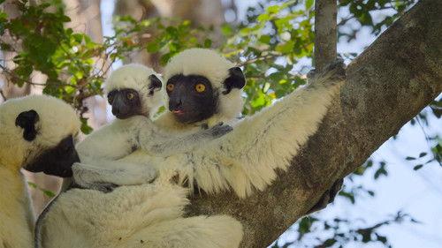 Our Great National Parks Season 1 Episode 1 - A World Of Wonder