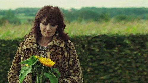 Sylvia's Cats Season 1 Episode 10 - Episode 10