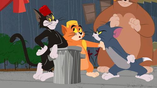 The Tom and Jerry Show Season 1 Episode 31 - Top Cat