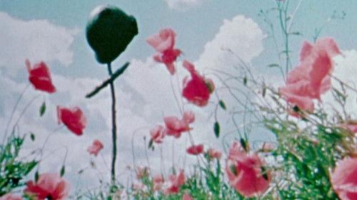 The World at War Season 1 Episode 26 - Remember