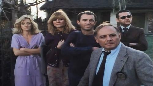Knots Landing Season 2 Episode 14 - Moments of Truth