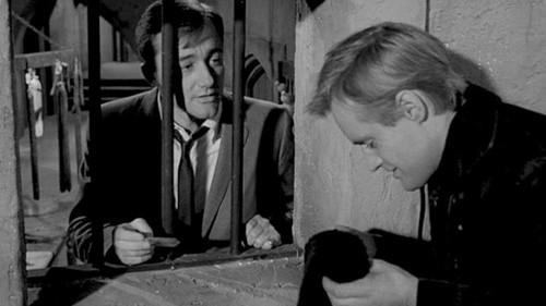 undefined Season 1 Episode 14 - The Terbuf Affair