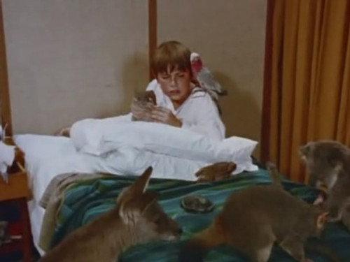 Skippy the Bush Kangaroo Season 3 Episode 7 - The Medicine Man