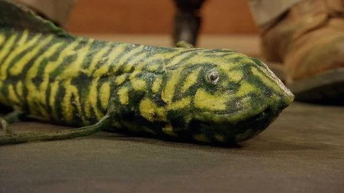 Andy's Dinosaur Adventures Season 1 Episode 9 - Coelophysis and Fish