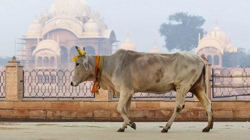 Crazy Borders Season 2 Episode 1 - Episode 1