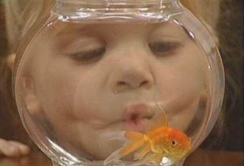 Full House Season 4 Episode 17 - A Fish Called Martin