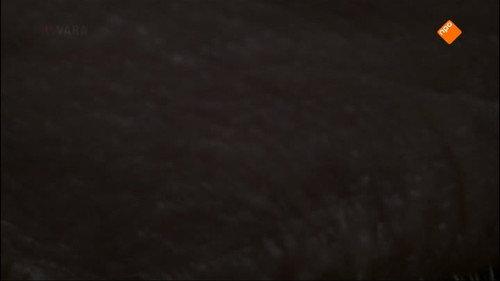 Zembla Season 20 Episode 5 - Waakzaam, dienstbaar en getraumatiseerd