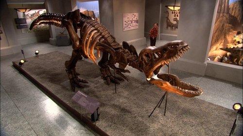 According to Jim Season 6 Episode 9 - Dino-Mite