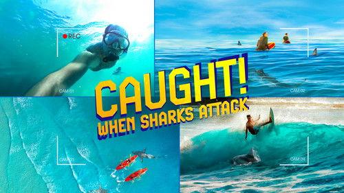 Shark Week Season 37 Episode 15 - Caught! When Sharks Attack