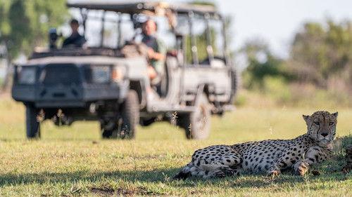 Big Cats 24/7 Season 1 Episode 4 - Episode 4