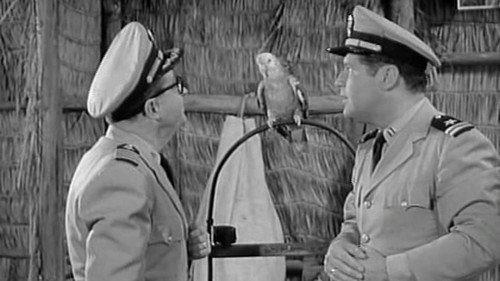 McHale's Navy Season 3 Episode 16 - The Stool Parrot