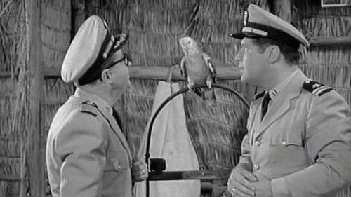 McHale's Navy Season 3 Episode 16 - The Stool Parrot