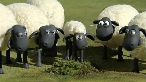 Shaun the Sheep Season 1 Episode 8 - Take Away