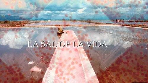 Planeta Microbio Season 1 Episode 4 - Episode 4