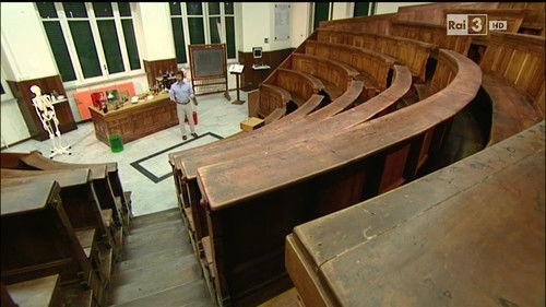 Ulisse - The pleasure of discovery Season 13 Episode 16 - Viaggio insolito nel corpo umano (seconda versione)