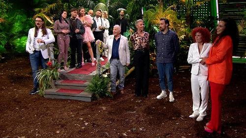 Ich bin ein Star – Holt mich hier raus! Season 17 Episode 19 - Episode 19