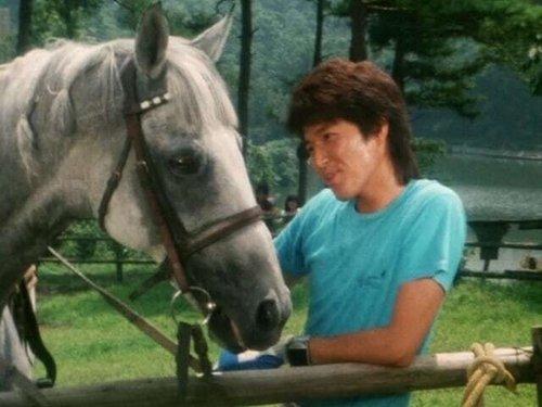 Dengeki Sentai Changeman Season 1 Episode 30 - Run! Pegasus!