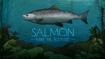 Mortimer & Whitehouse: Gone Fishing Season 2 Episode 3 - Salmon: River Tay, Scotland
