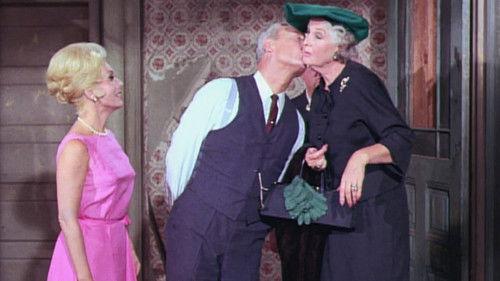 Green Acres Season 1 Episode 3 - The Decorator