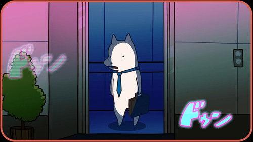 Harimaware! Koinu Season 1 Episode 1 - Episode 1