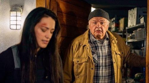 Resident Alien Season 1 Episode 8 - End of the World as We Know It