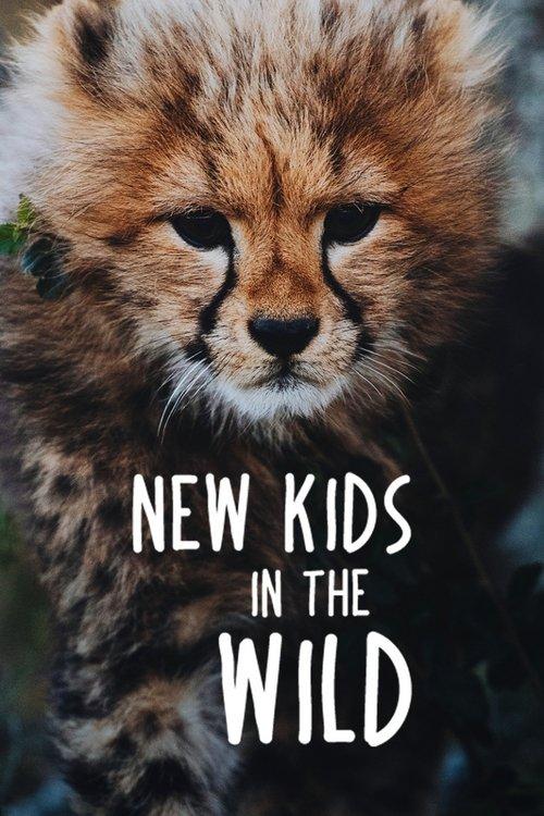 New Kids in the Wild poster