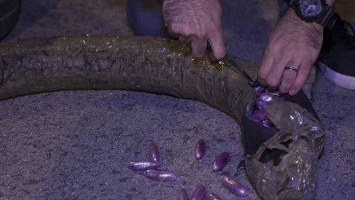 Border Control: Spain Season 5 Episode 8 - Episode 8