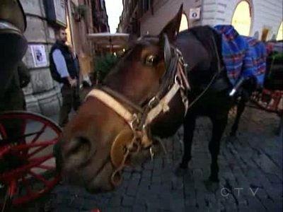 The Amazing Race Season 9 Episode 7 - Herculean Effort for Some Herculean Dudes