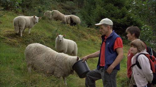 Der ingen skulle tru at nokon kunne bu Season 8 Episode 7 - Episode 7