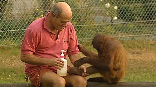 Monkey Business Season 6 Episode 11 - Episode 11