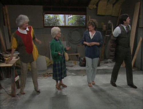The Golden Girls Season 3 Episode 22 - Rose's Big Adventure