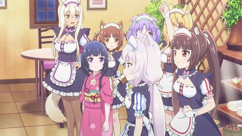 Nekopara Season 1 Episode 2 - A Lost Kitten?