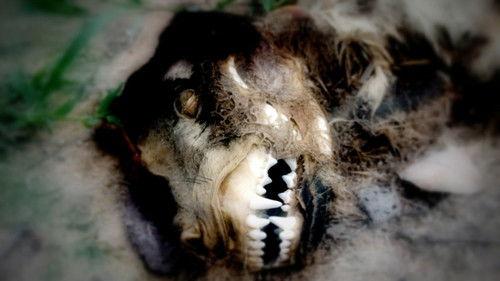 In Search of Monsters Season 1 Episode 5 - The Beast of Bray Road