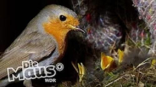 Die Sendung mit der Maus Season 54 Episode 9 - Episode 9