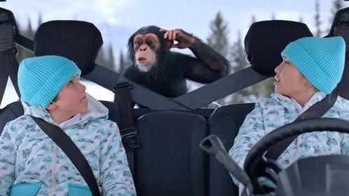 Jane Season 2 Episode 2 - Canis lupus