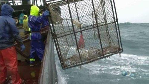 Deadliest Catch Season 6 Episode 3 - Sea Tested