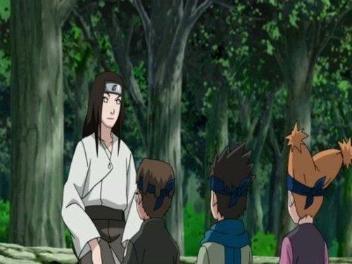 Naruto Shippūden Season 9 Episode 192 - Neji Chronicles