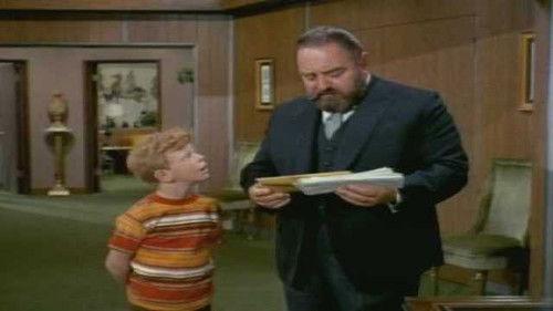 Family Affair Season 3 Episode 23 - The Young Man from Bolivia