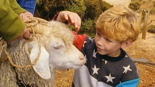 Round the Twist Season 2 Episode 12 - Little Black Balls