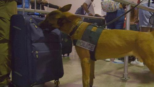 To Catch a Smuggler Season 4 Episode 4 - Dark Net Dragnet